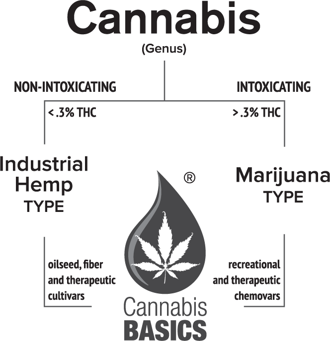 Image of Dual Types infographic